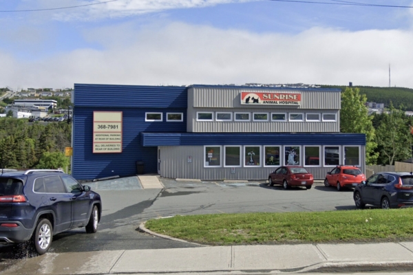 Sunrise Animal Hospital joins Local 1252